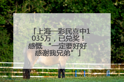 上海一彩民喜中1035万，已兑奖！感慨 “一定要好好感谢我兄弟”
