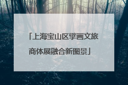 上海宝山区擘画文旅商体展融合新图景