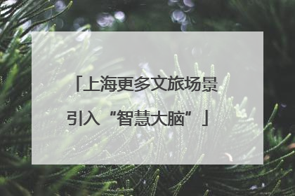 上海更多文旅场景引入“智慧大脑”