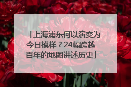 上海浦东何以演变为今日模样？24幅跨越百年的地图讲述历史