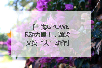 上海GPOWER动力展上，潍柴又搞“大”动作