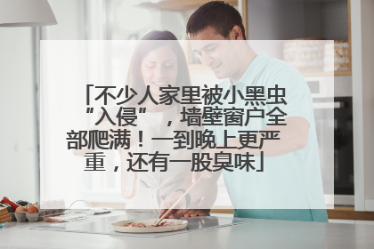 不少人家里被小黑虫“入侵”，墙壁窗户全部爬满！一到晚上更严重，还有一股臭味