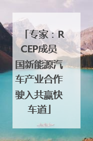 专家：RCEP成员国新能源汽车产业合作驶入共赢快车道