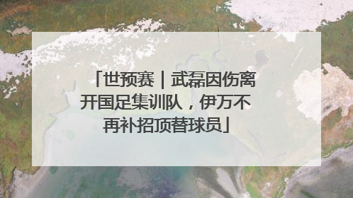 世预赛｜武磊因伤离开国足集训队，伊万不再补招顶替球员