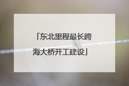 东北里程最长跨海大桥开工建设