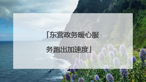 东营政务暖心服务跑出加速度
