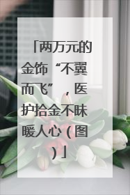 两万元的金饰“不翼而飞”，医护拾金不昧暖人心（图）