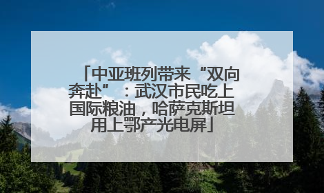 中亚班列带来“双向奔赴”：武汉市民吃上国际粮油，哈萨克斯坦用上鄂产光电屏