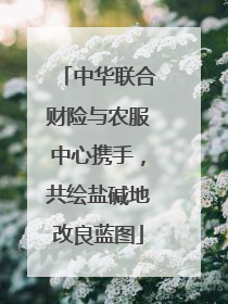 中华联合财险与农服中心携手，共绘盐碱地改良蓝图