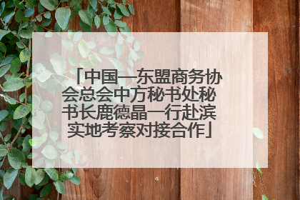 中国—东盟商务协会总会中方秘书处秘书长鹿德晶一行赴滨实地考察对接合作