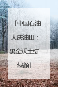 中国石油大庆油田：黑金沃土绽绿颜