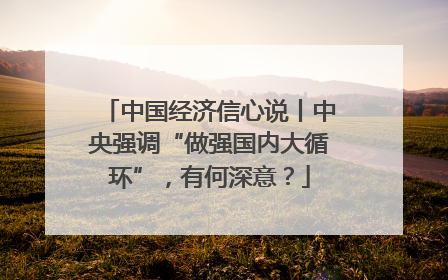 中国经济信心说丨中央强调“做强国内大循环”，有何深意？