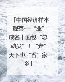 中国经济样本观察·一“业”成名丨面包“总动员”！“走”天下也“香”家乡