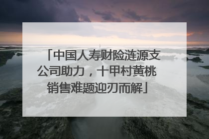 中国人寿财险涟源支公司助力，十甲村黄桃销售难题迎刃而解