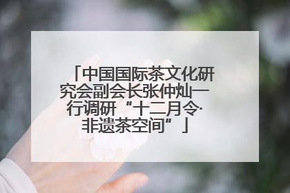 中国国际茶文化研究会副会长张仲灿一行调研“十二月令·非遗茶空间”