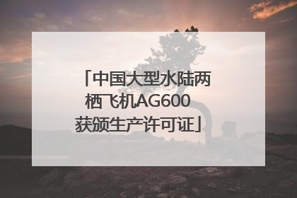中国大型水陆两栖飞机AG600获颁生产许可证