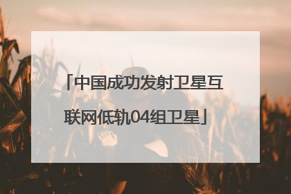 中国成功发射卫星互联网低轨04组卫星