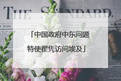 中国政府中东问题特使翟隽访问埃及