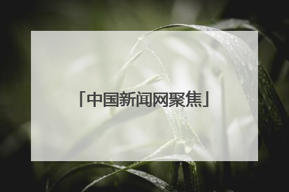 中国新闻网聚焦