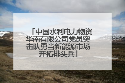 中国水利电力物资华南有限公司党员突击队勇当新能源市场开拓排头兵