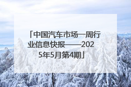 中国汽车市场一周行业信息快报——2025年5月第4期