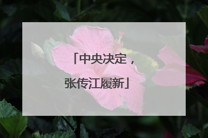 中央决定，张传江履新