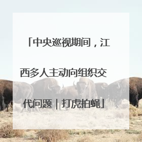 中央巡视期间，江西多人主动向组织交代问题｜打虎拍蝇