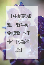 中新武威观｜野生动物频繁“打卡”民勤沙漠