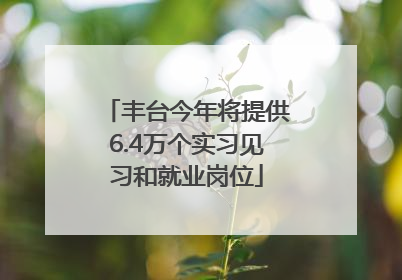 丰台今年将提供6.4万个实习见习和就业岗位