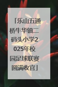 乐山五通桥牛华镇二码头小学2025年校园足球联赛圆满收官