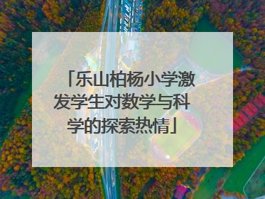 乐山柏杨小学激发学生对数学与科学的探索热情