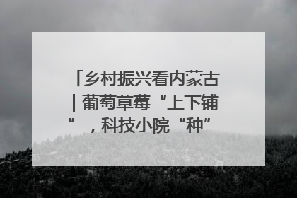 乡村振兴看内蒙古｜葡萄草莓“上下铺”，科技小院“种”出三倍效益