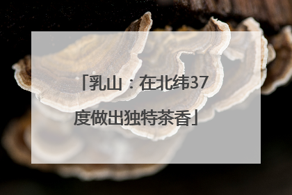 乳山：在北纬37度做出独特茶香