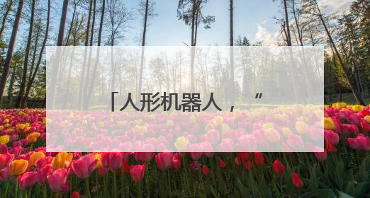 人形机器人，“打”起来了！