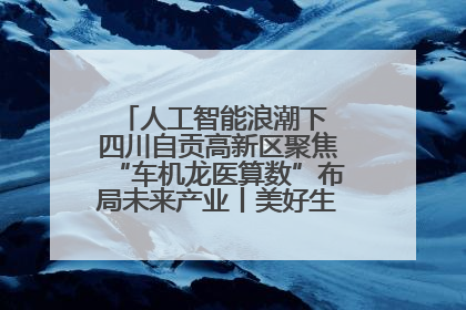 人工智能浪潮下 四川自贡高新区聚焦“车机龙医算数”布局未来产业丨美好生活有“盐”味