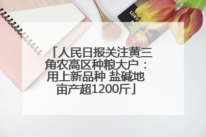 人民日报关注黄三角农高区种粮大户：用上新品种 盐碱地亩产超1200斤