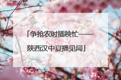 争抢农时插秧忙——陕西汉中夏播见闻