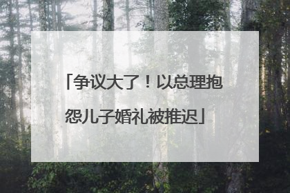 争议大了！以总理抱怨儿子婚礼被推迟