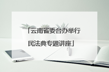 云南省委台办举行民法典专题讲座