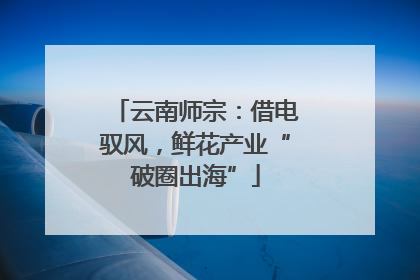 云南师宗：借电驭风，鲜花产业“破圈出海”