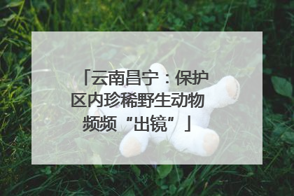 云南昌宁：保护区内珍稀野生动物频频“出镜”