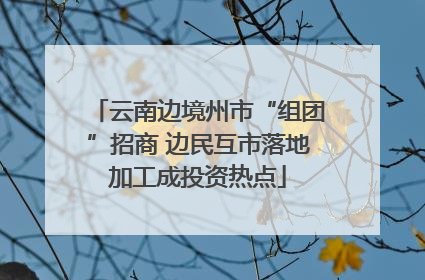云南边境州市“组团”招商 边民互市落地加工成投资热点