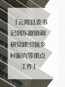 云霄县委书记到东厦镇调研党建引领乡村振兴等重点工作