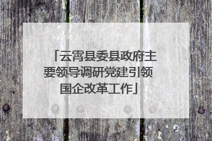 云霄县委县政府主要领导调研党建引领国企改革工作