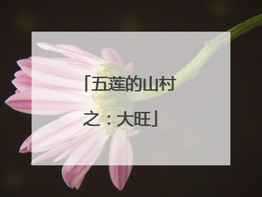 五莲的山村之：大旺