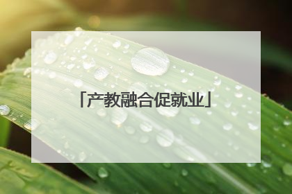 产教融合促就业