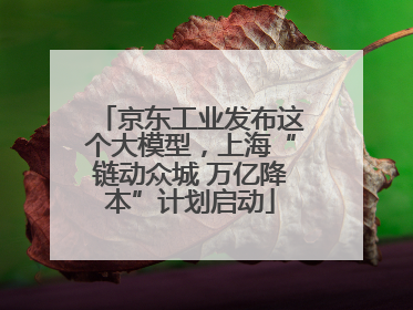京东工业发布这个大模型，上海“链动众城 万亿降本”计划启动