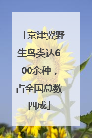 京津冀野生鸟类达600余种，占全国总数四成