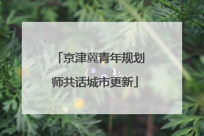 京津冀青年规划师共话城市更新
