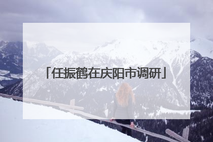 任振鹤在庆阳市调研